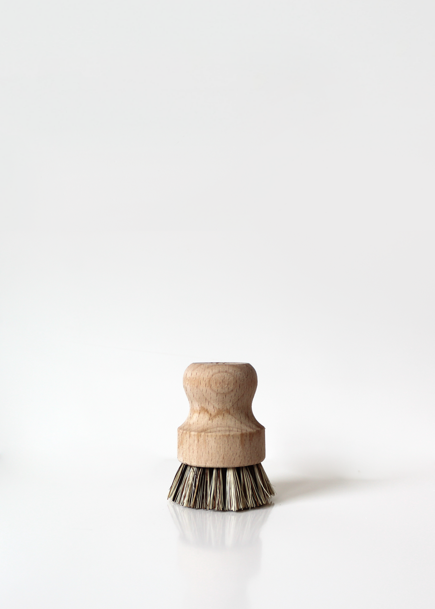 Compostable Pot Brush